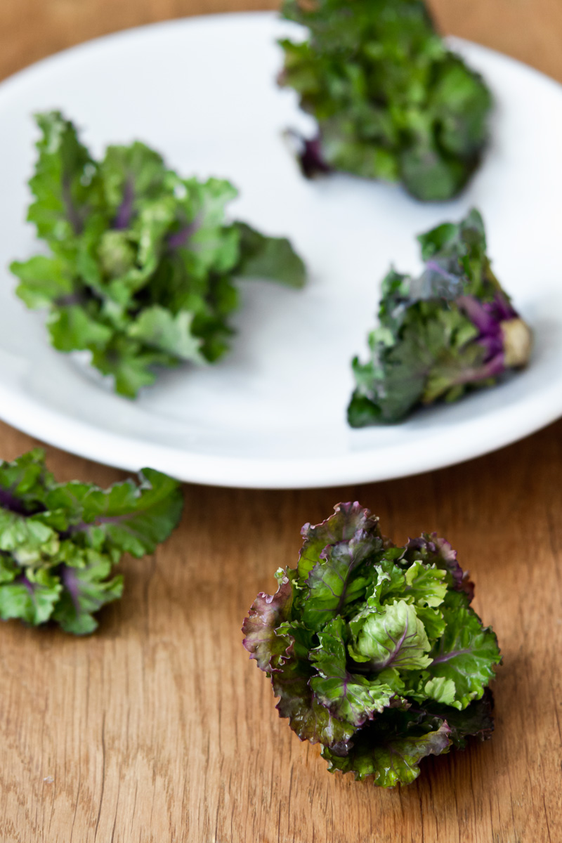 Flower sprouts over lupines | www.planticize.com